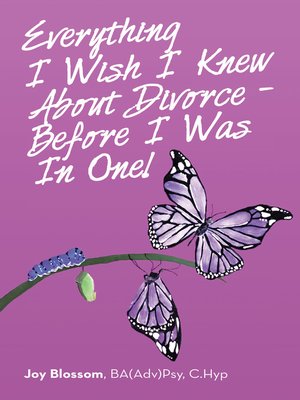 cover image of Everything I Wish I Knew About Divorce--Before I Was in One!
